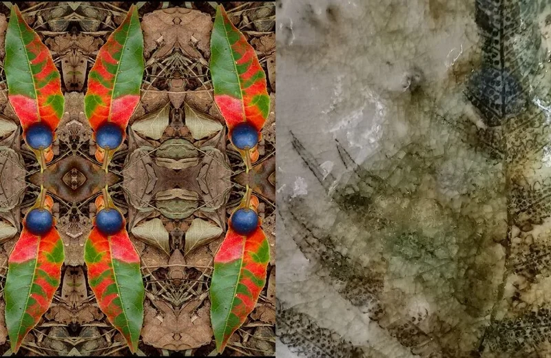 Take a Closer Look