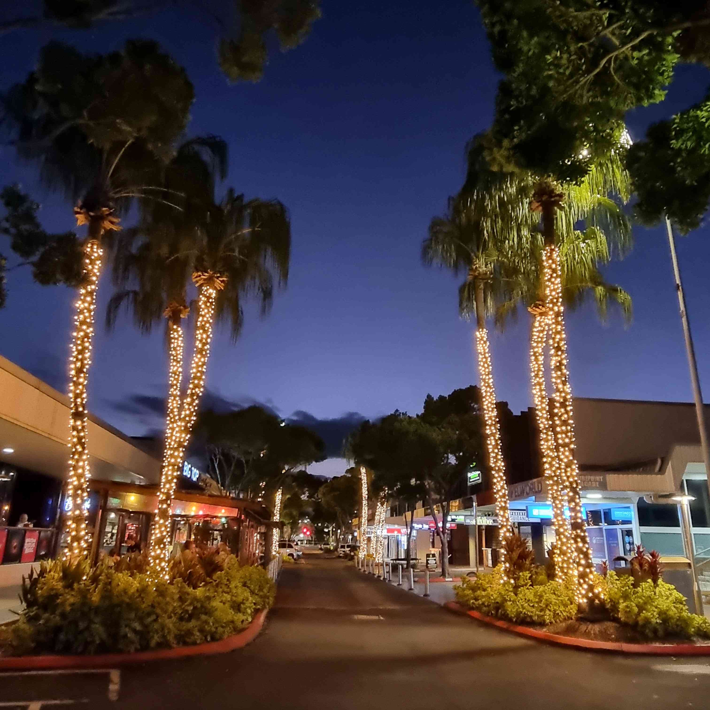 Ocean Street late night precinct showcasing fairy lights. 