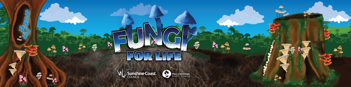 Rainforest Discovery Centre new exhibition- Fungi for Life