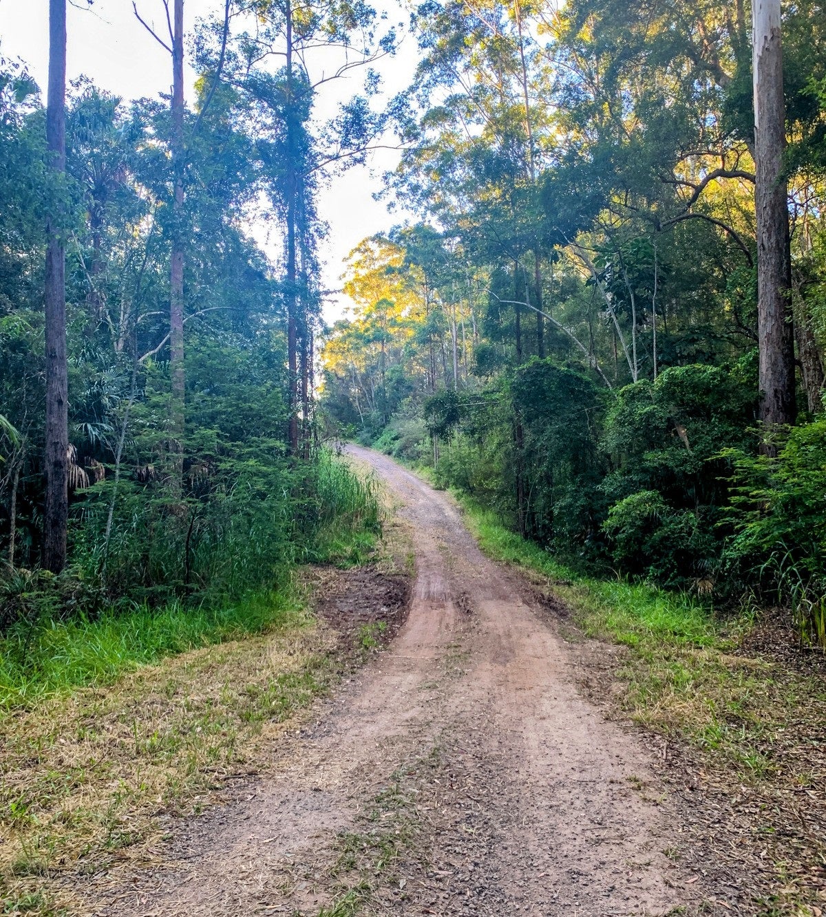 Parklands Conservation Park – Rocky Creek Circuit