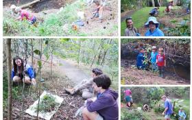 Florabunda Pocket Community Nature Conservation Project