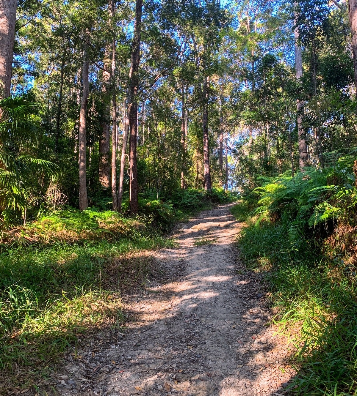 Parklands Conservation Park – Rocky Creek Circuit