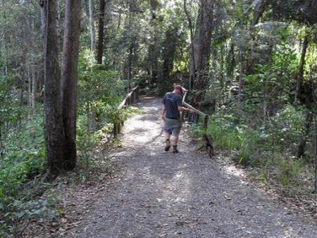 Buderim - Palmwoods Heritage Trail Bushland Park