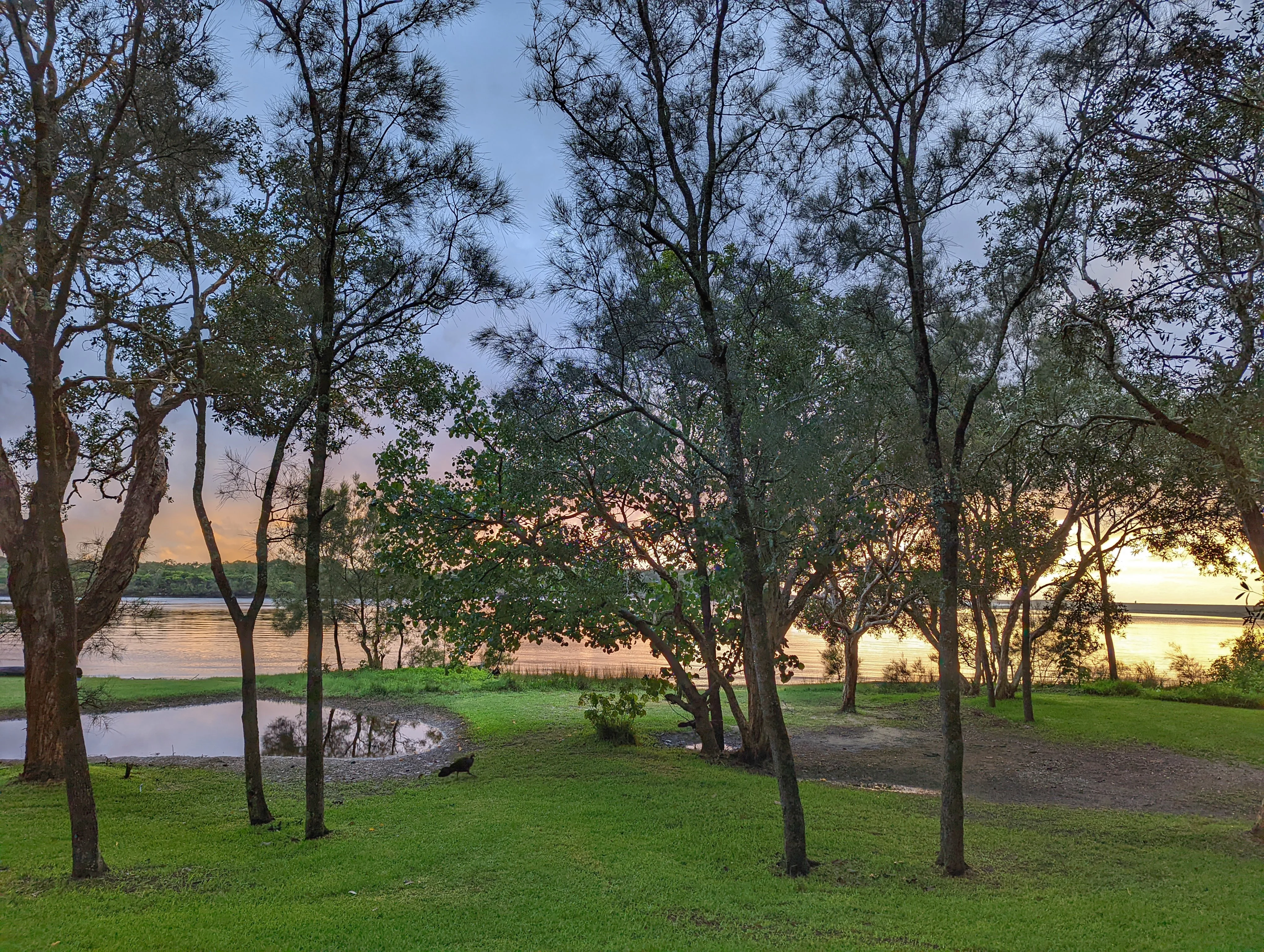 Currimundi Lake – ‘Loop the Lake’ walk