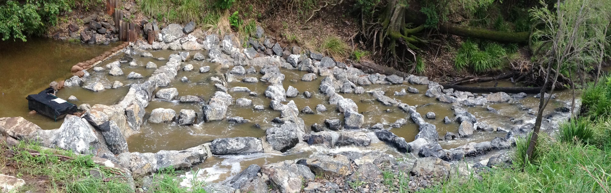 River ‘staircases’ to help our fish stocks climbRiver ‘staircases’ to help our fish stocks climb