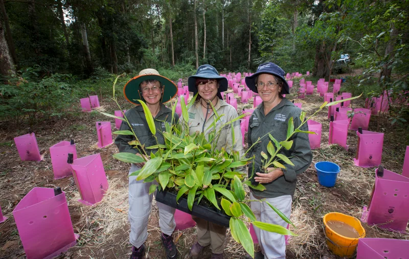 BushCare Sunshine Coast