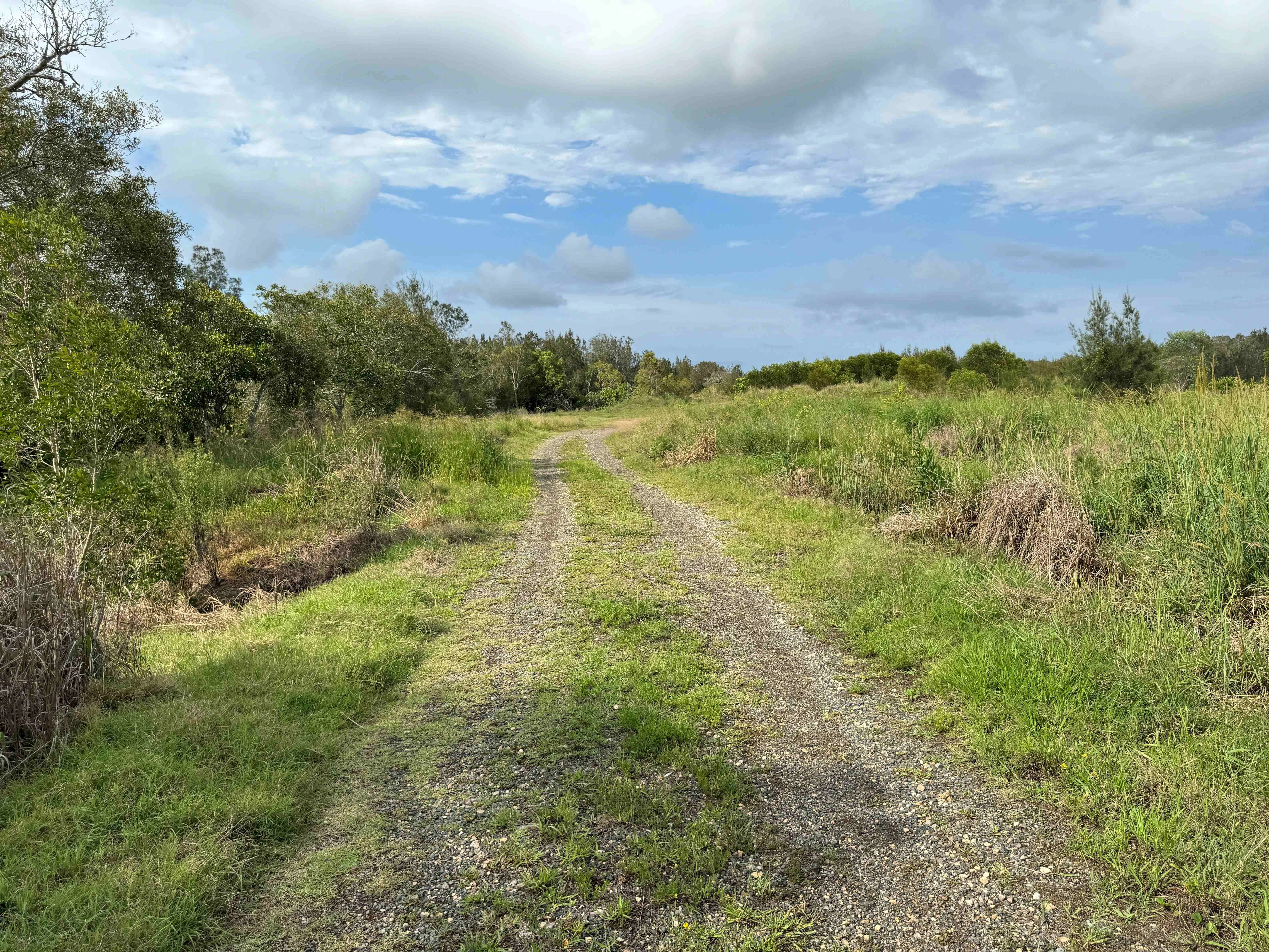 The Blue Carbon Farming Trial site on River Road.