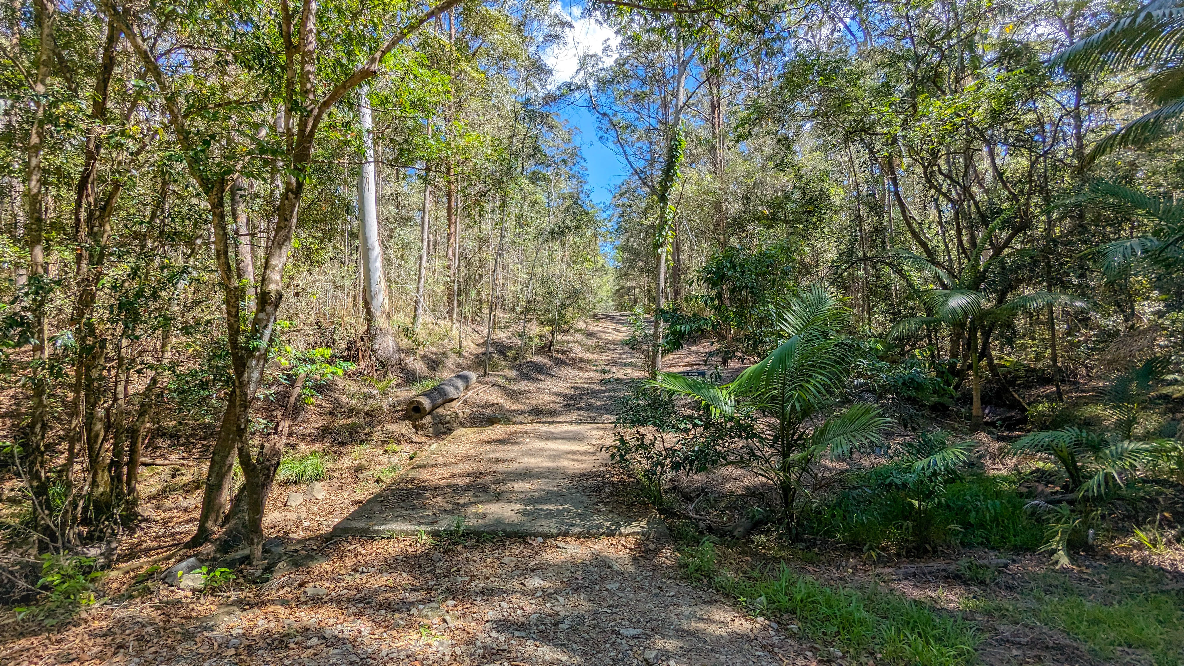 Dularcha National Park – Tunnel Track