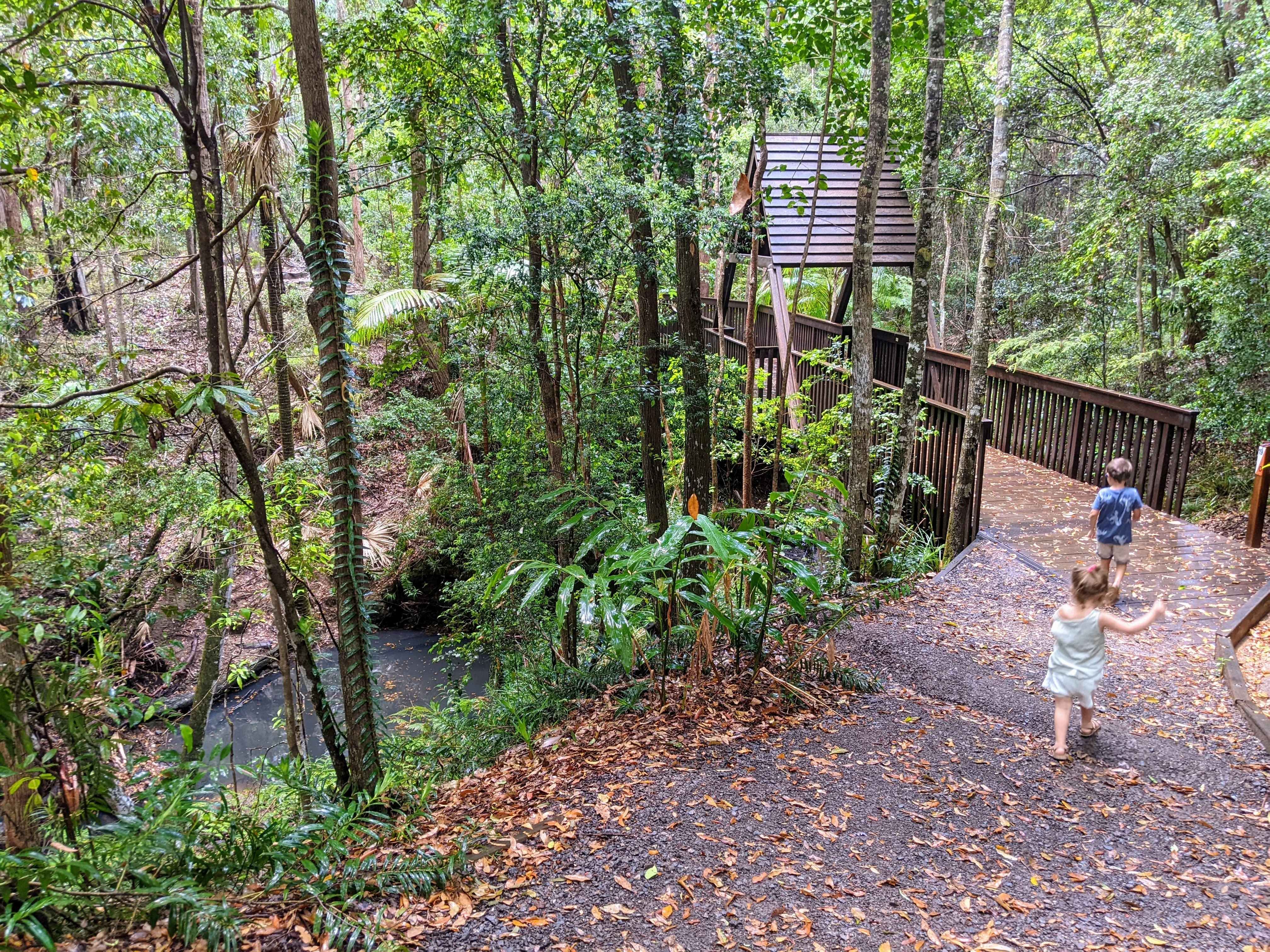 Maroochy Bushland Botanic Garden, Lagoon Walk 