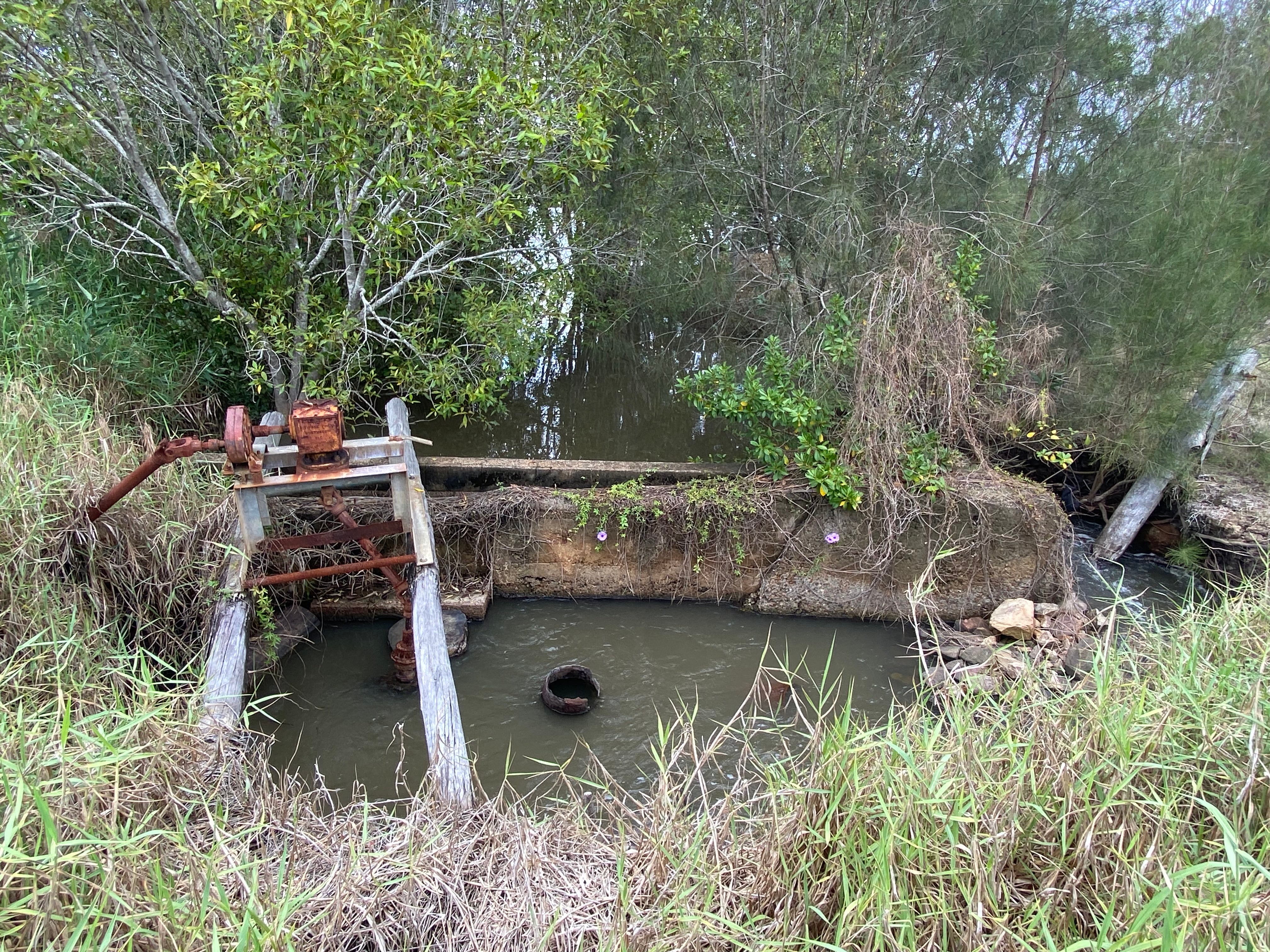 One of the tidal structures removed from the River Road site.