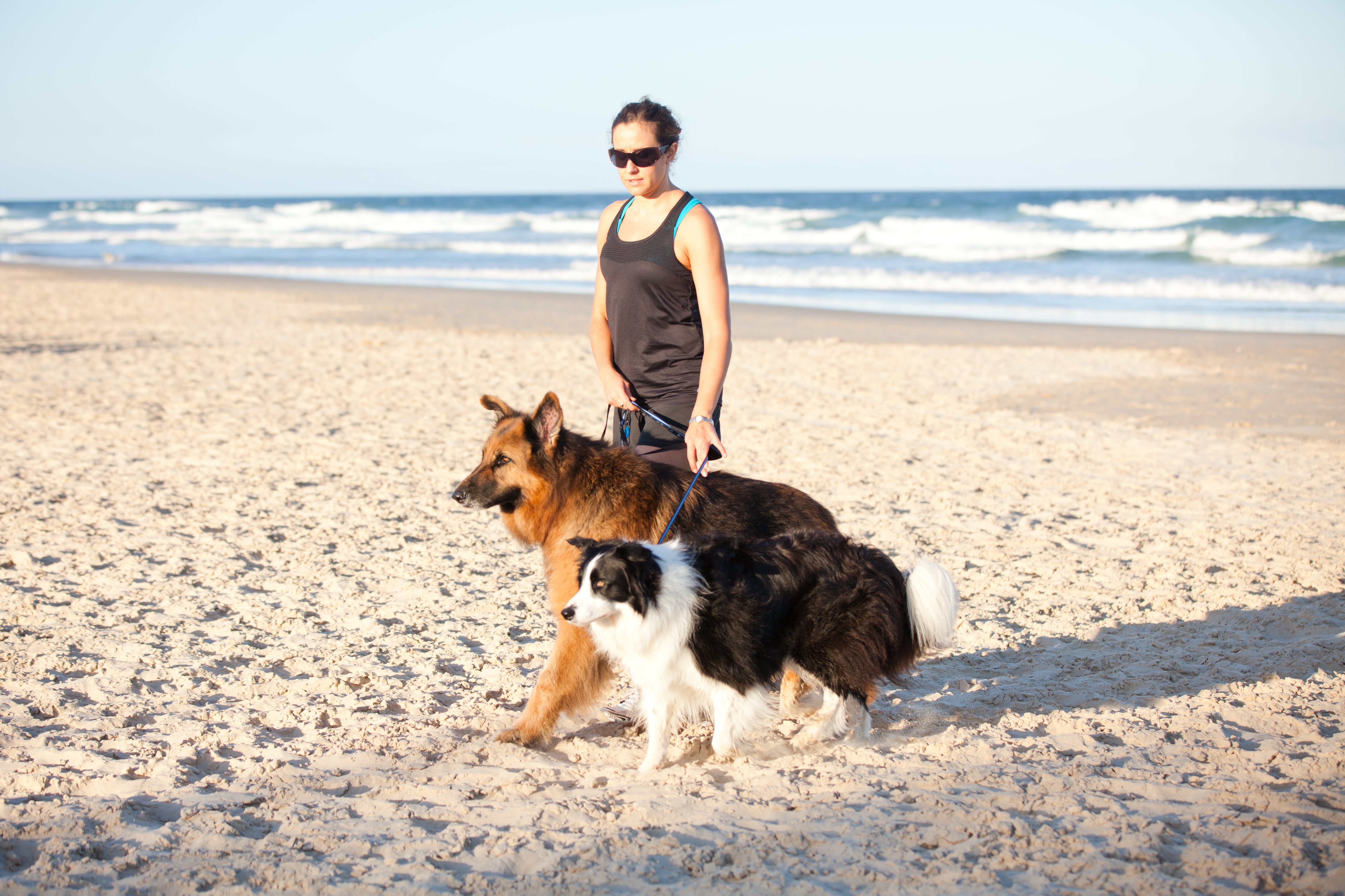 Woman walking two large dogs on-leash at the beach