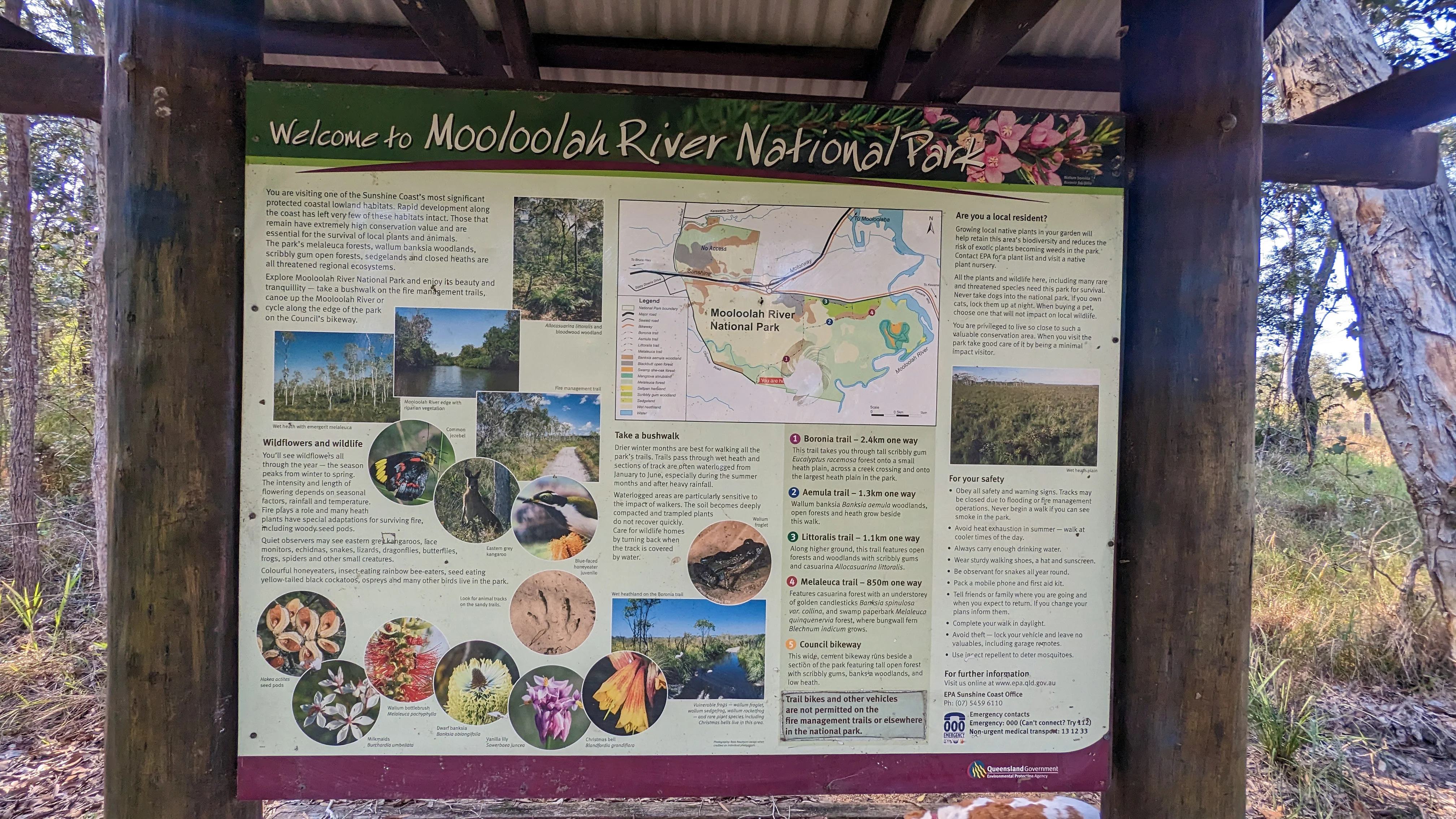 Mooloolah River National Park, Sippy Downs