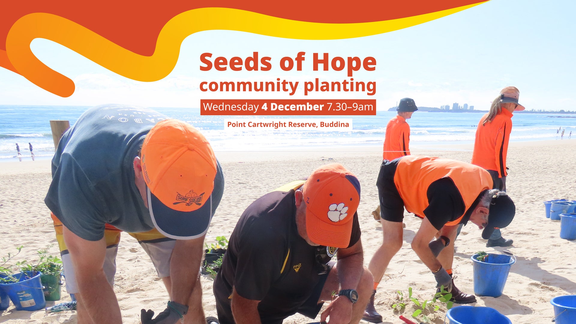 A community planting event at the beach