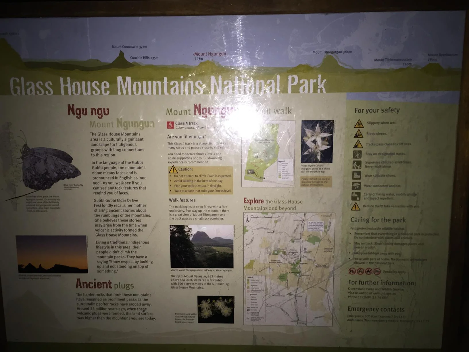 Glass House Mountains National Park: Mt. Ngungun Summit 