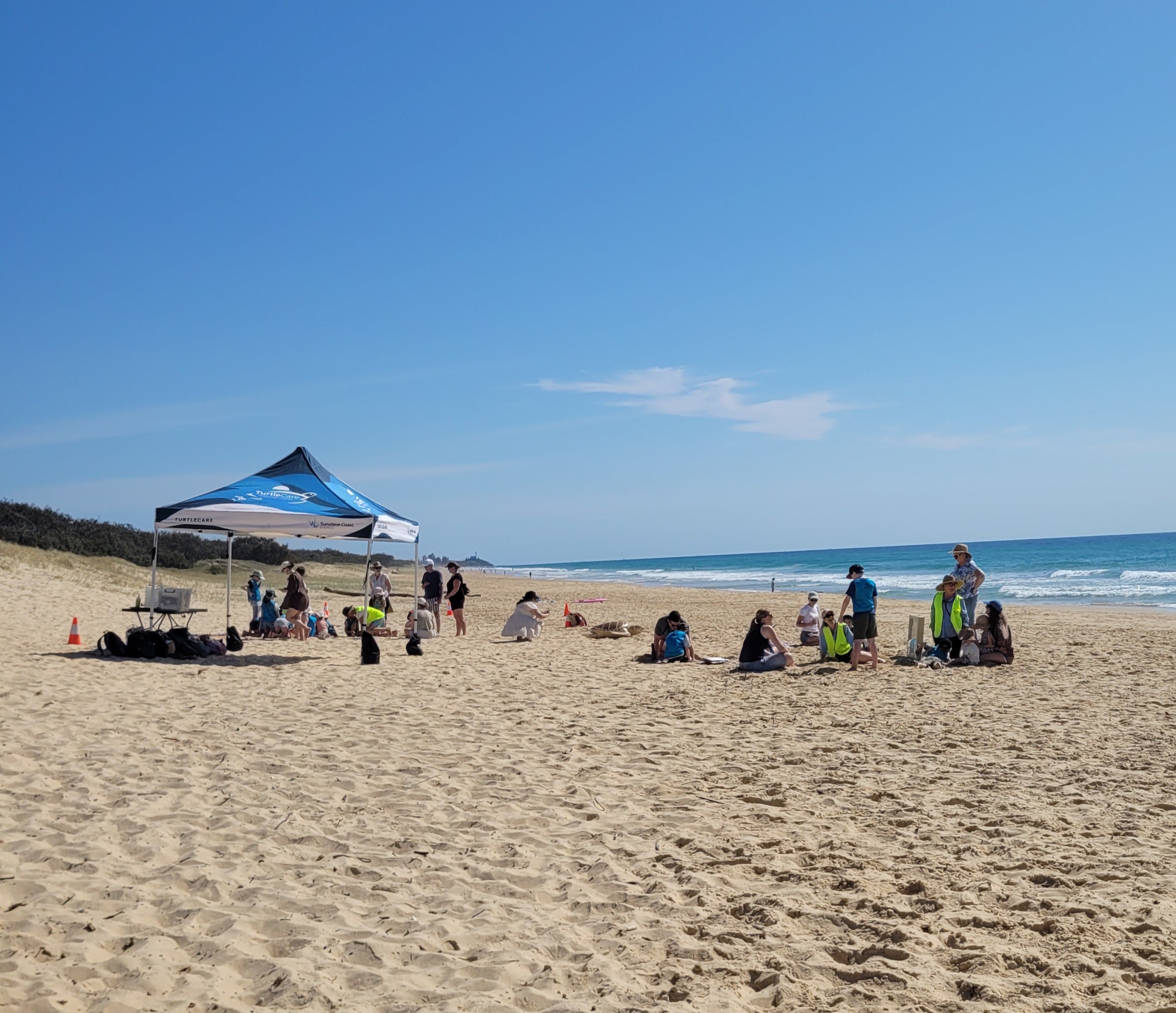 TurtleCare Hatchling Club on the beach