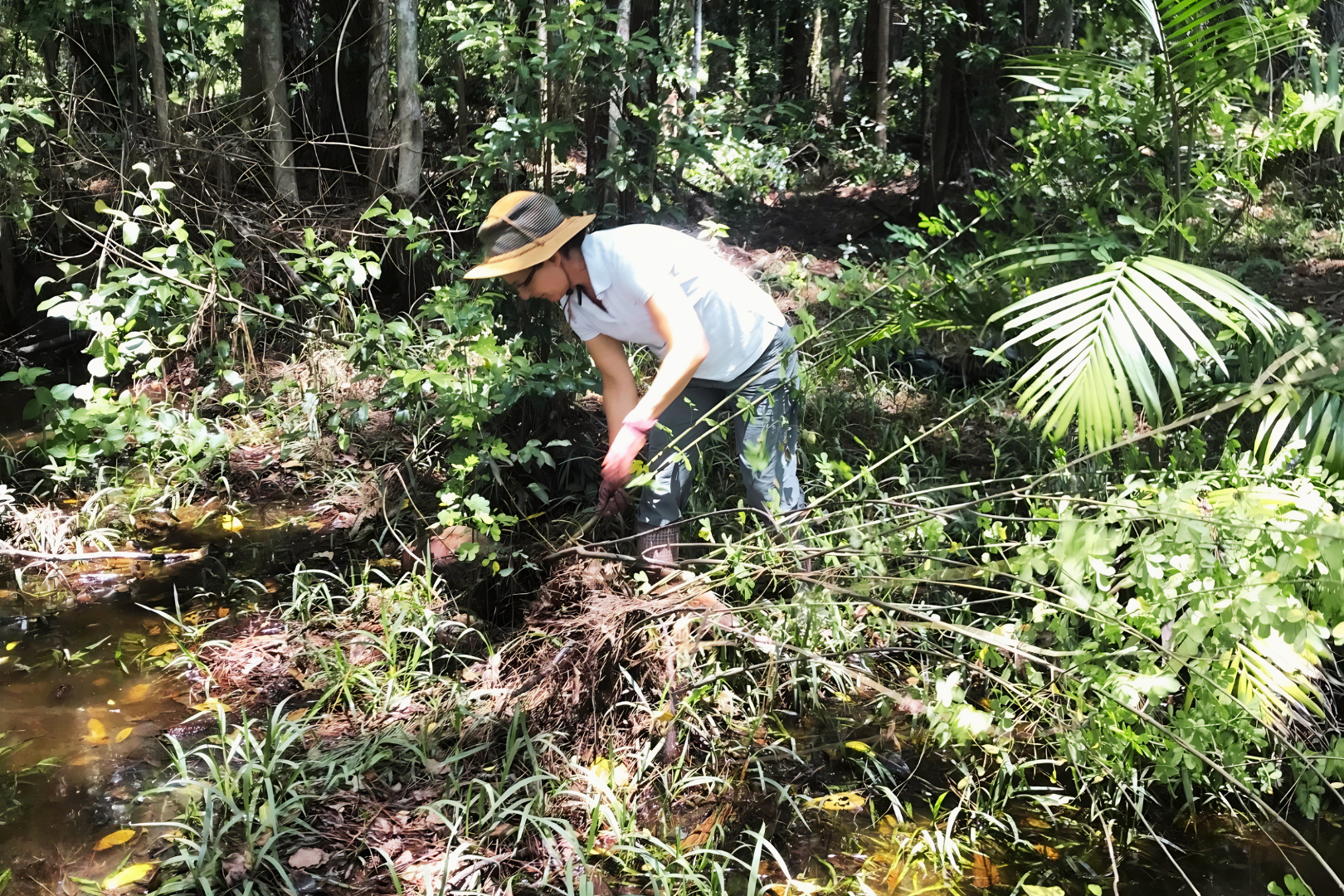 Megan working on the property