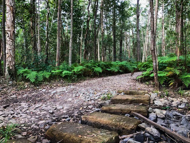 Eumundi Conservation Park trails