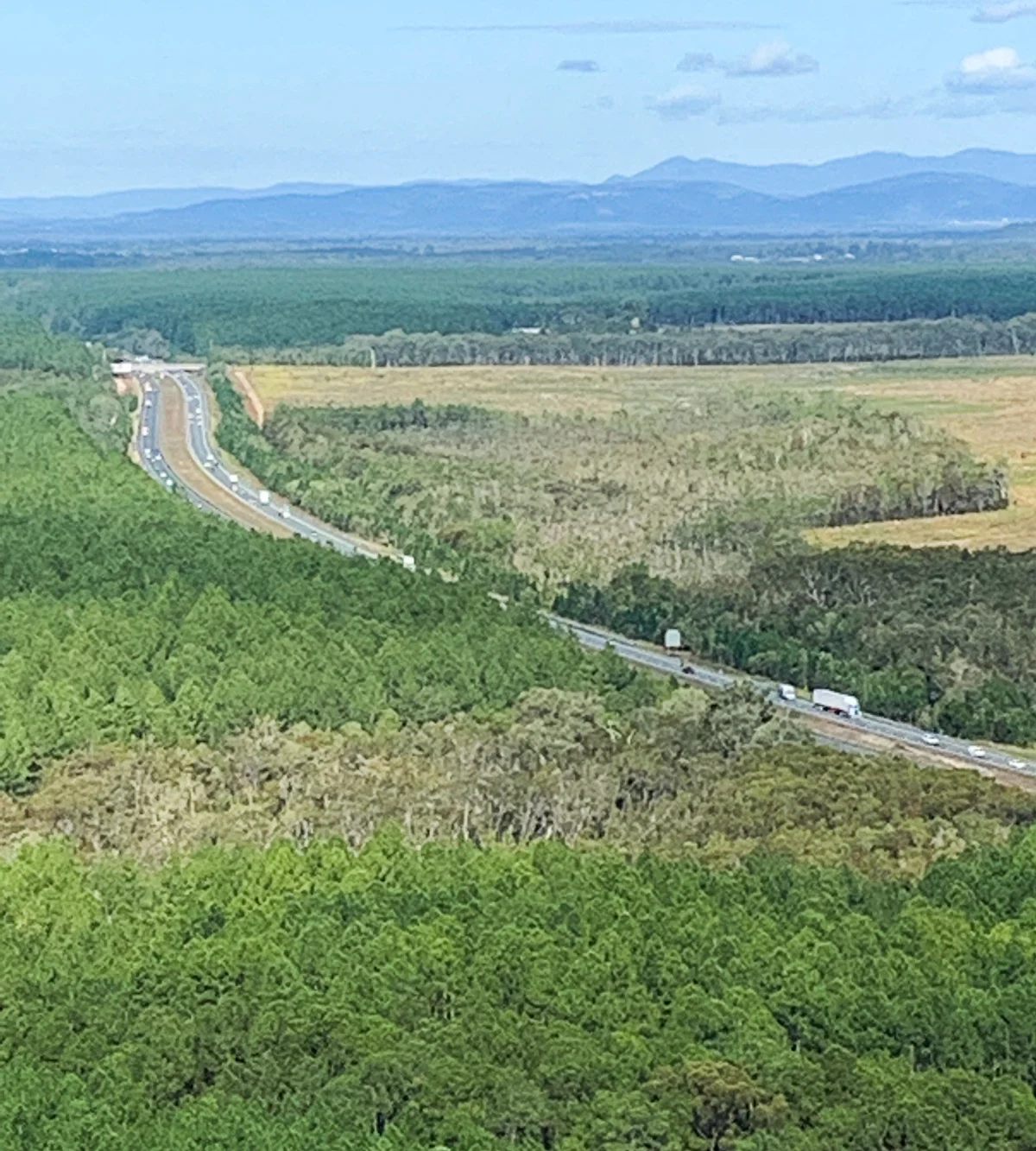 Wild Horse Mountain Lookout – 1.4km walk