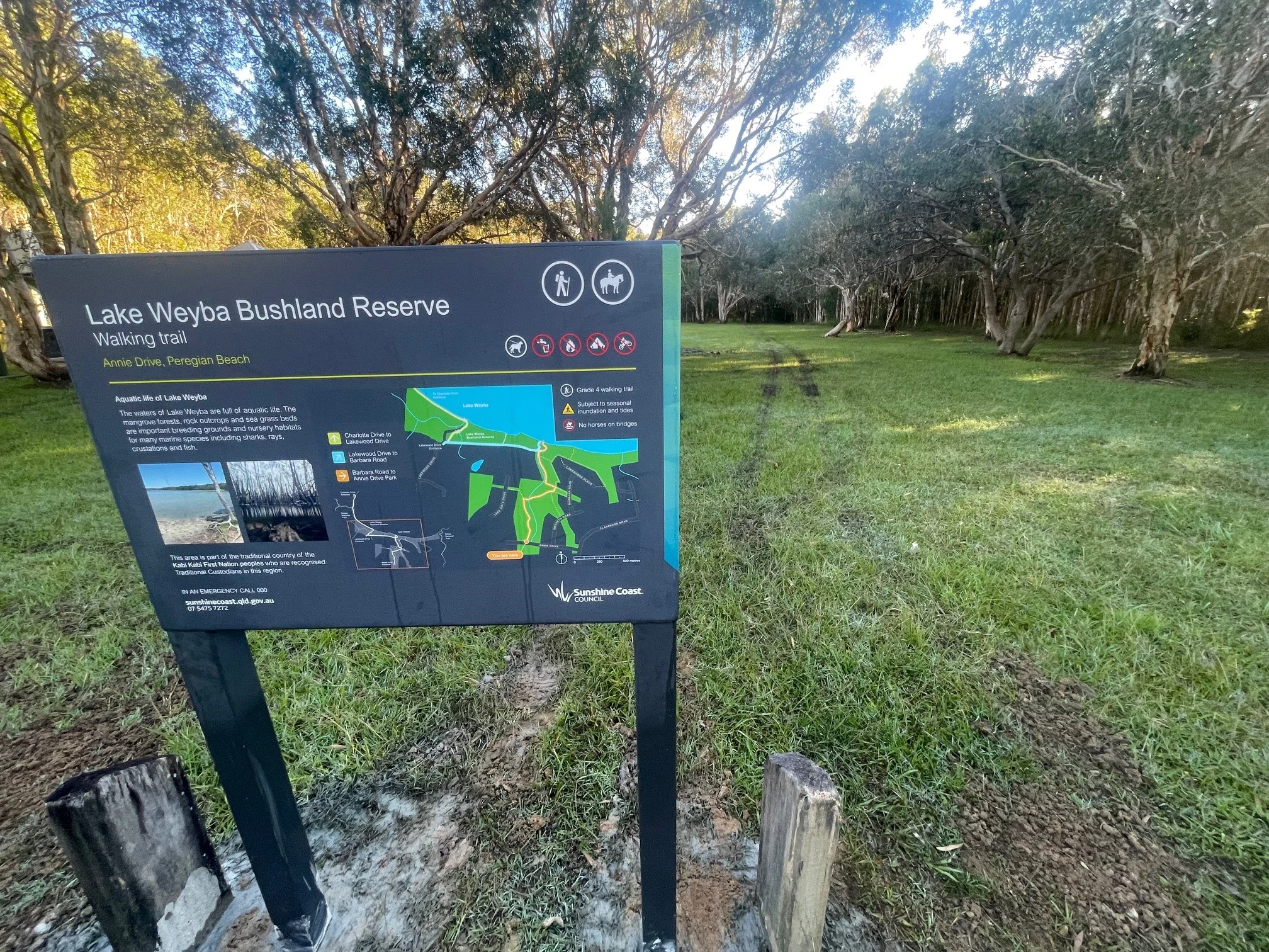 New walking trail signage at Lake Weyba Bushland Reserve