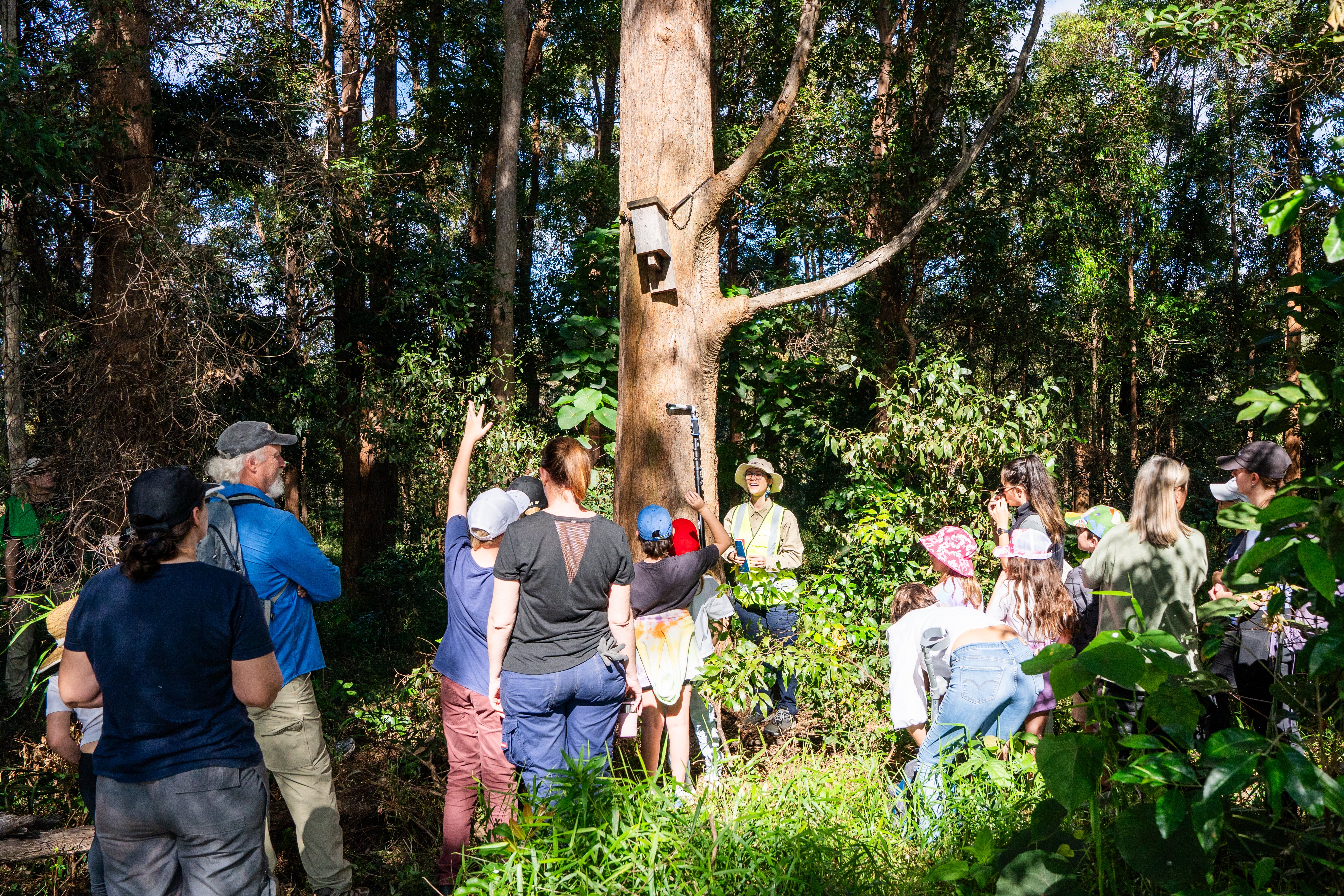 NatureWatch walks at Doonan. People enjoying nature as a group and studying the nest boxes.