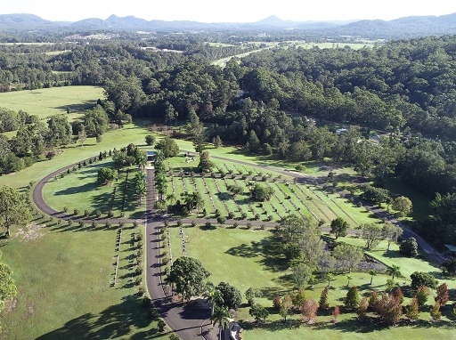 Growing population leads to review of cemetery services