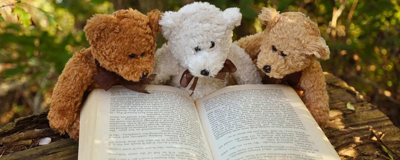 Puppet story time