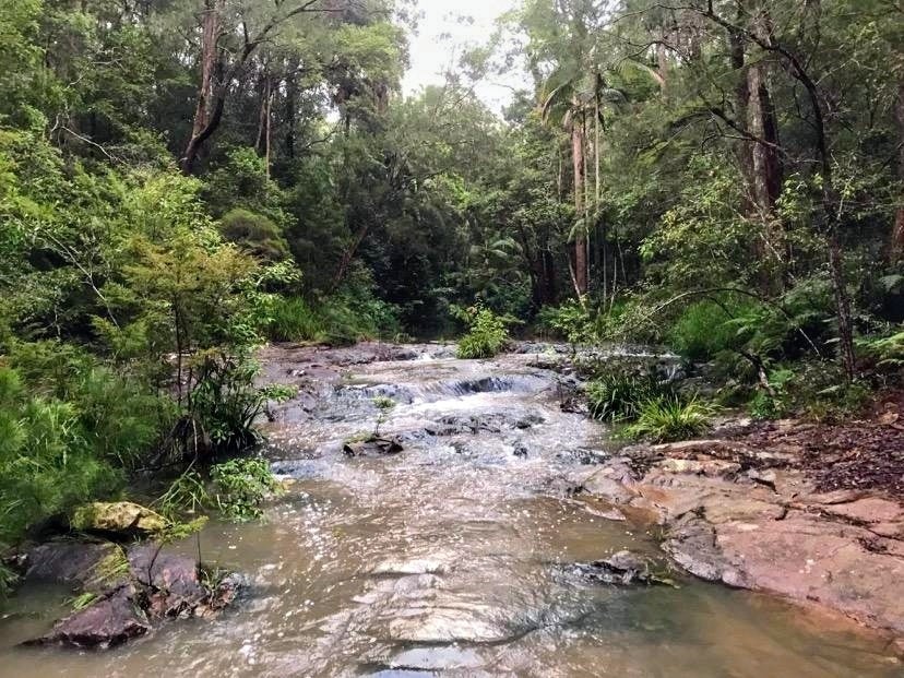 Parklands Conservation Park – Rocky Creek Circuit