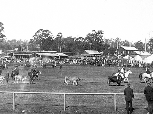 Annual show of the Maroochy Pastoral, Agricultural, Horticultural and Industrial Association, at Woombye, ca 1905