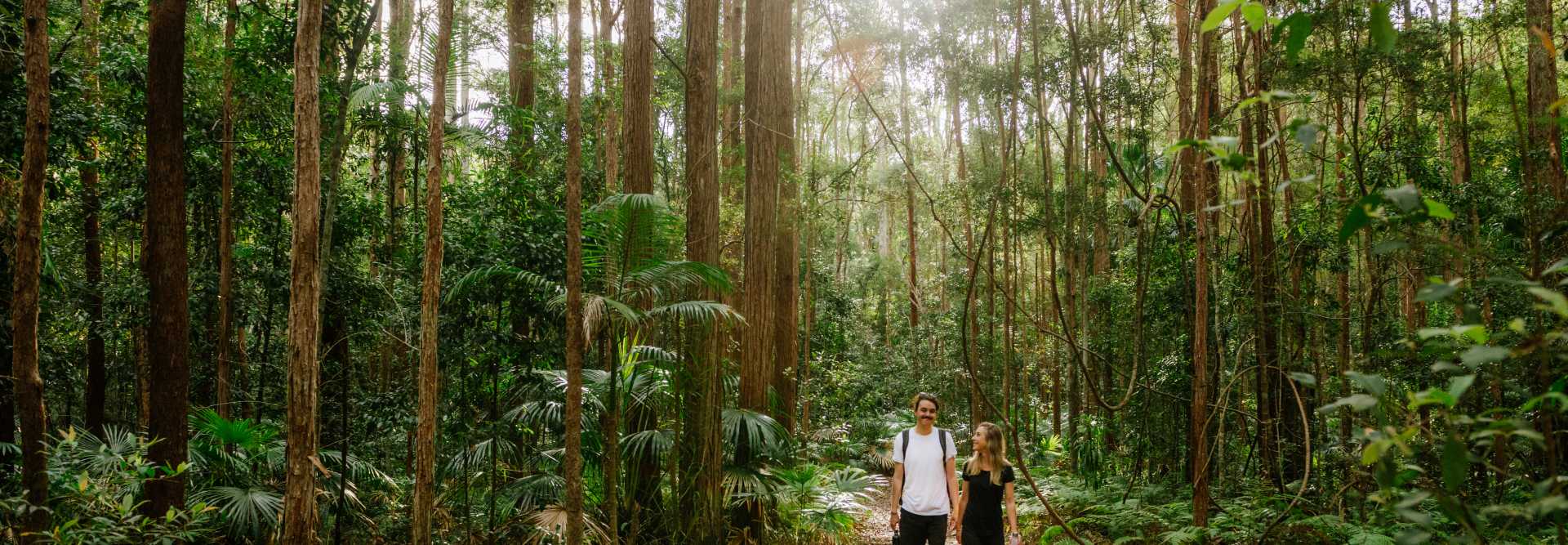 Upland bushwalk