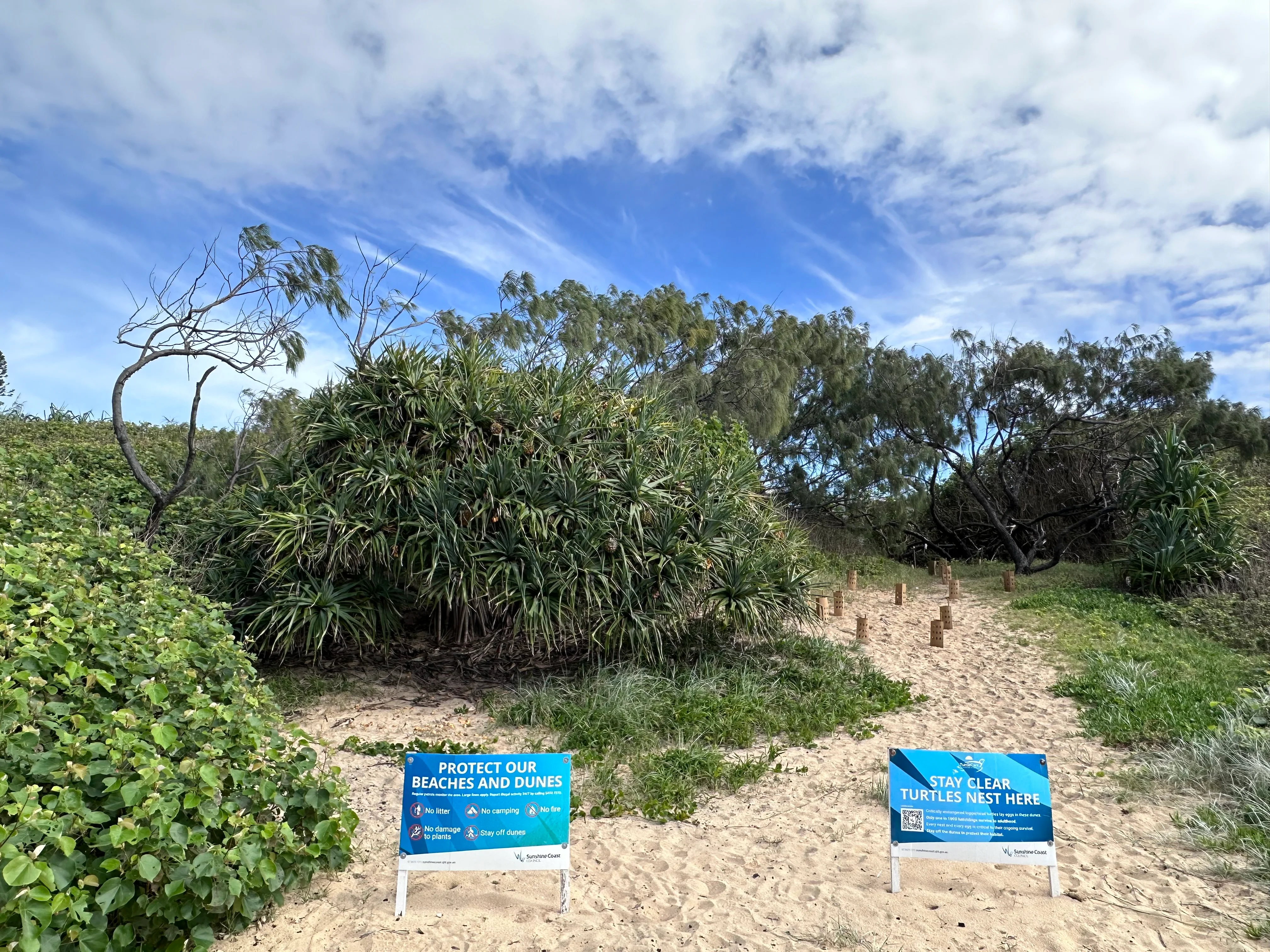 An informal access has also been closed for the protection of nesting turtles.