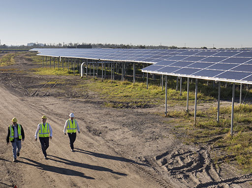 Sustainability at the Solar Farm succeeds again