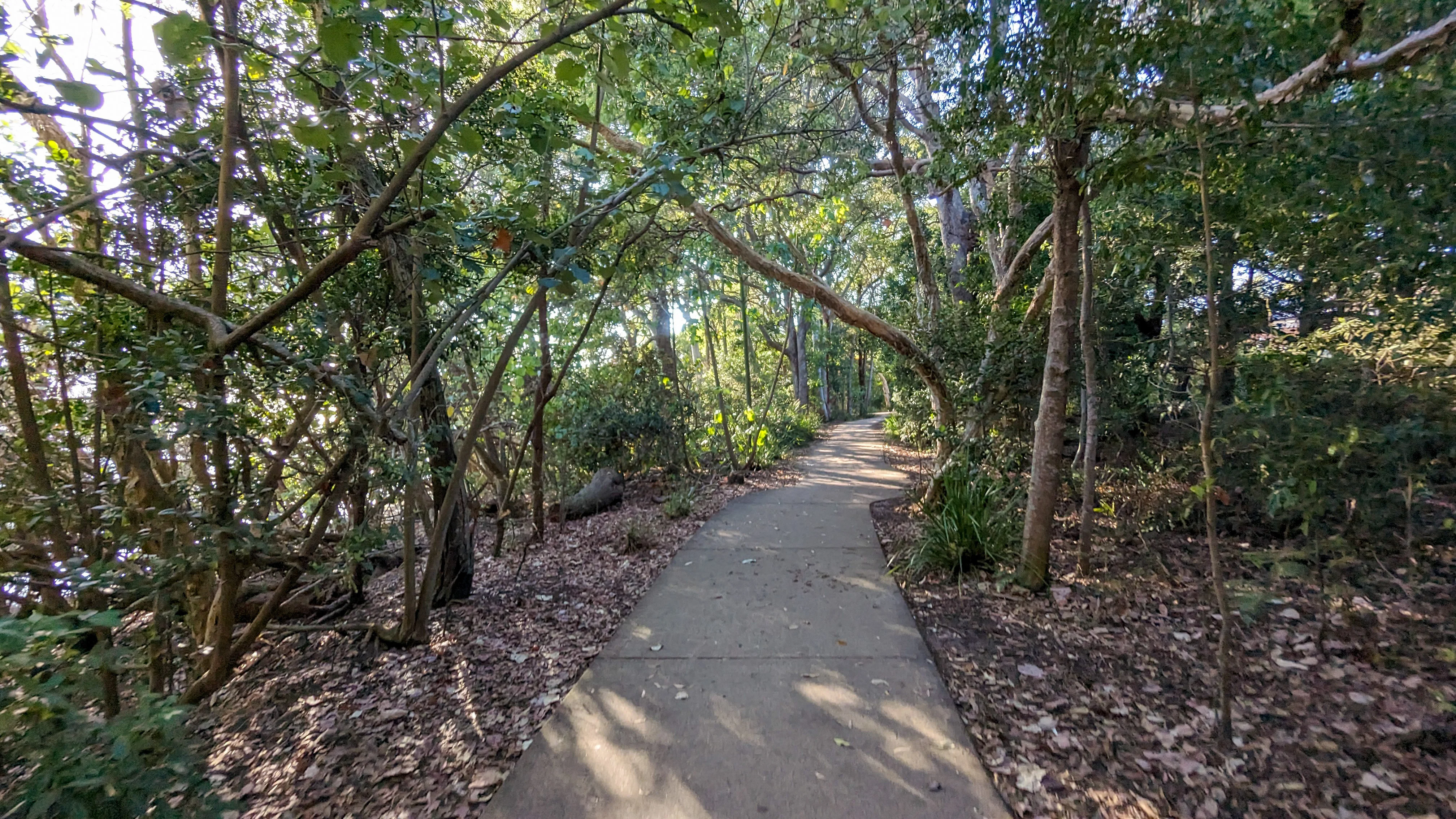 Currimundi Lake – ‘Loop the Lake’ walk