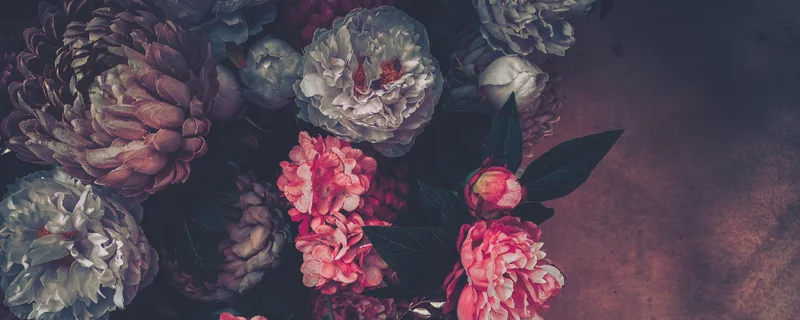 Still life paint and draw