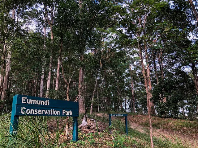 Eumundi Conservation Park trails