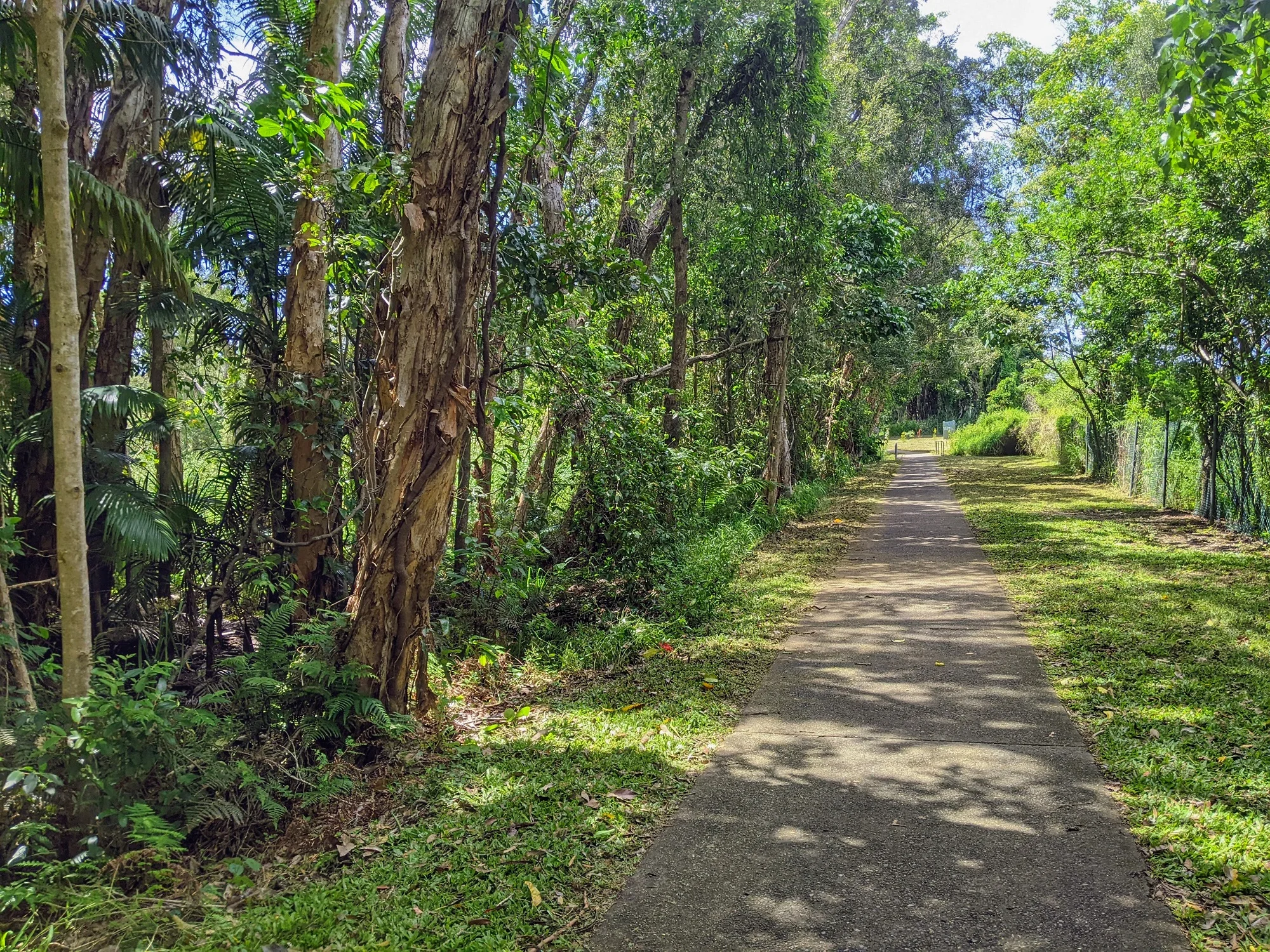 Mooloolaba – Emerald Woods Walk