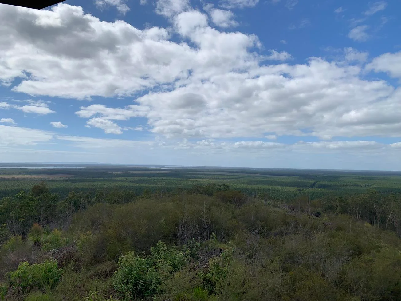 Wild Horse Mountain Lookout – 1.4km walk