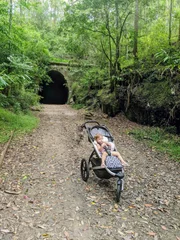 Adventure time: Dularcha National Park – Tunnel Track
