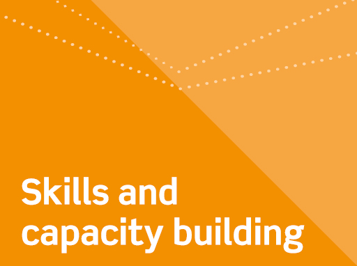 Skills and capacity building