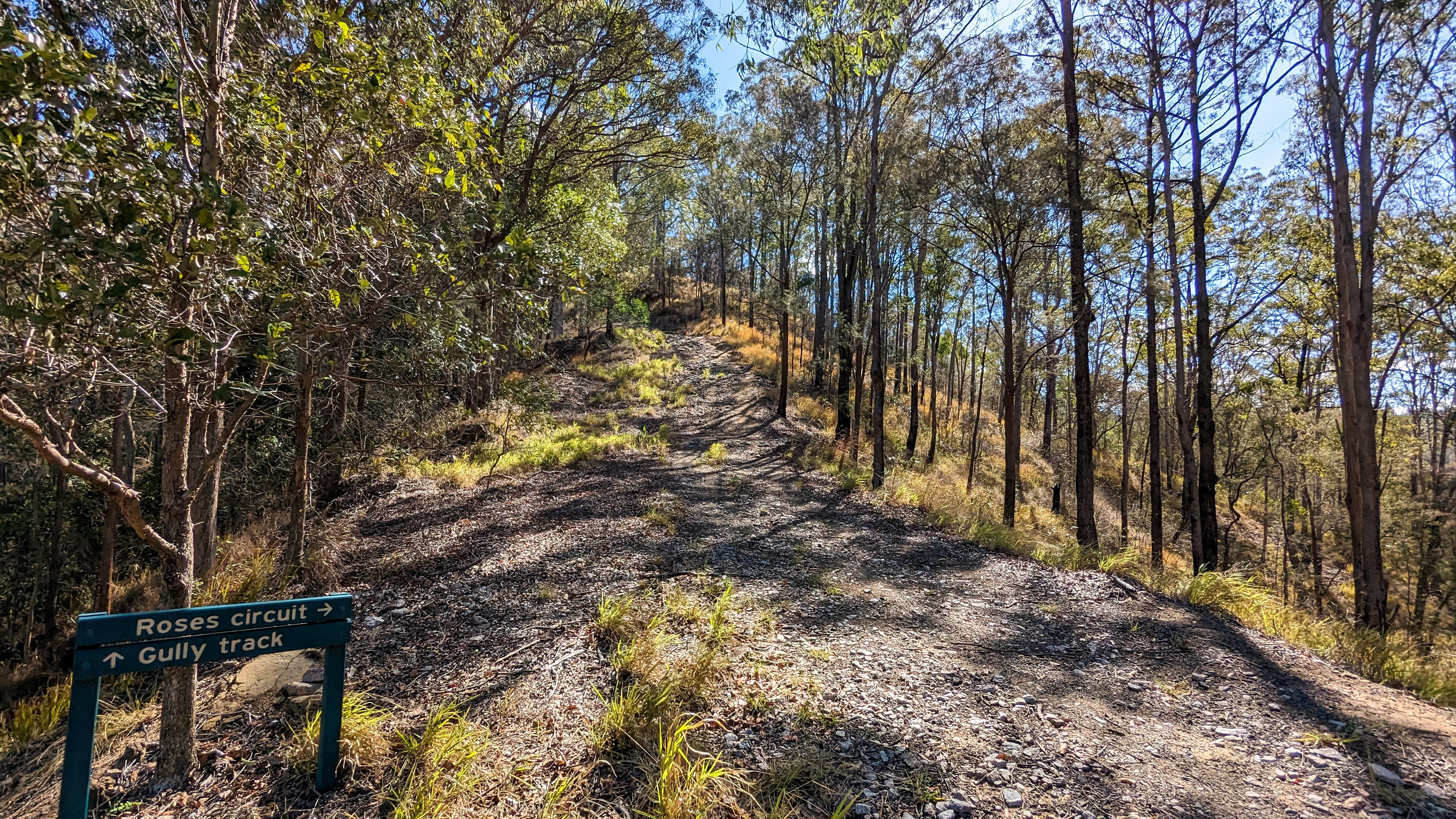 Dularcha National Park – Roses circuit