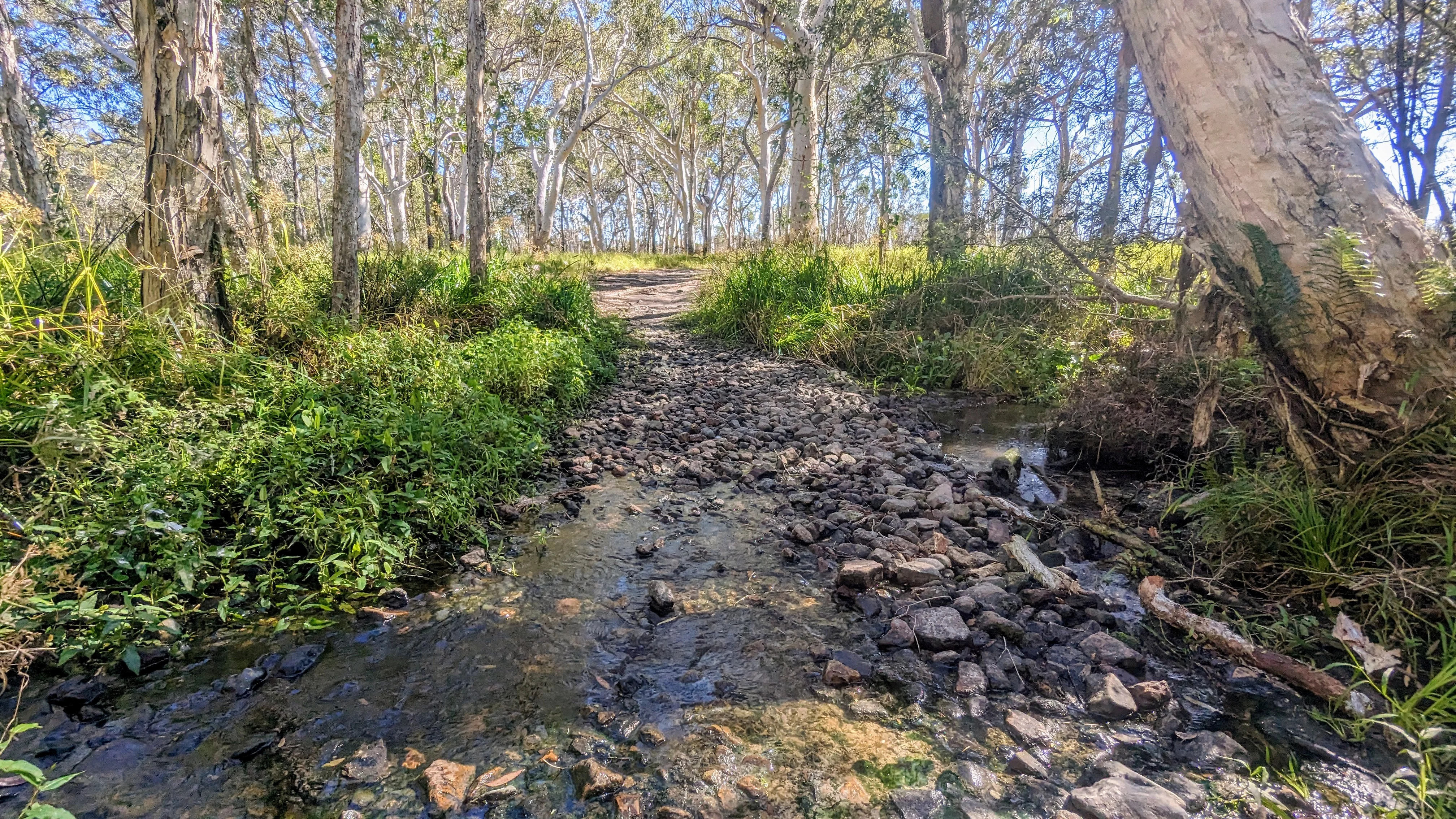 Mooloolah River National Park, Sippy Downs