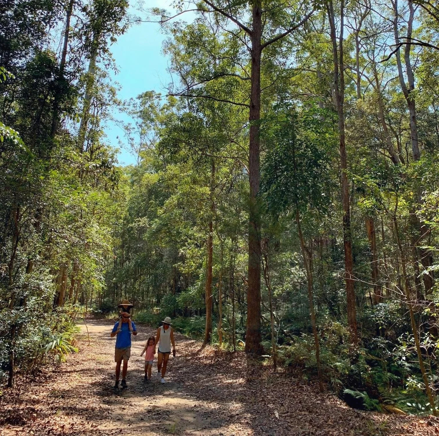 Dularcha National Park – Tunnel Track