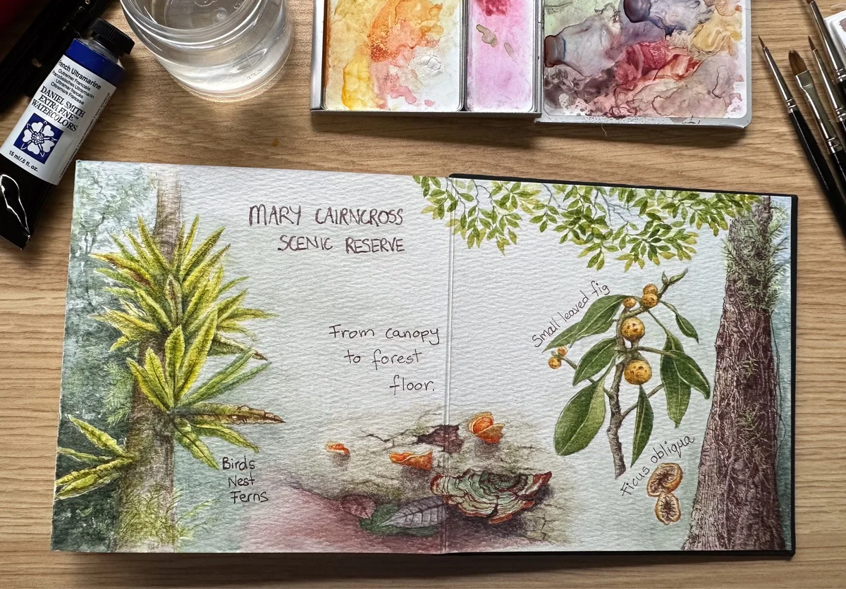 Artists in Residence: Sunshine Coast Nature Sketchers