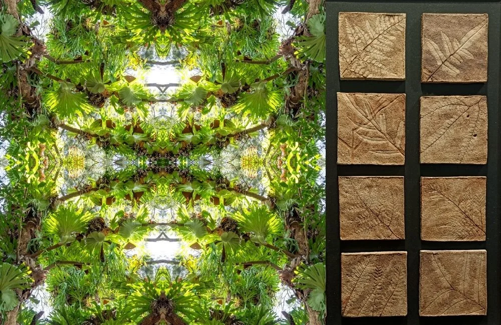 Take a Closer Look