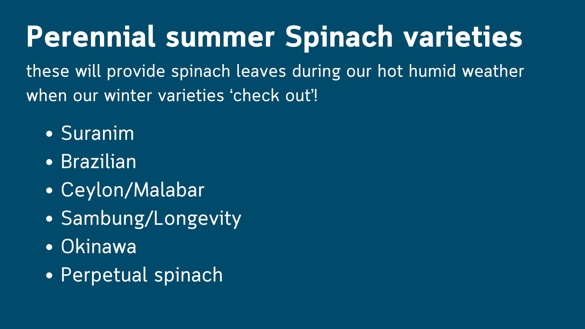 Guide to spinach varieties that can tolerate Sunshine Coast summers. Suranim, Brazilian, Ceylon/Malabar, Sambung/Longevity, Okinawa, Perpetual spinach 