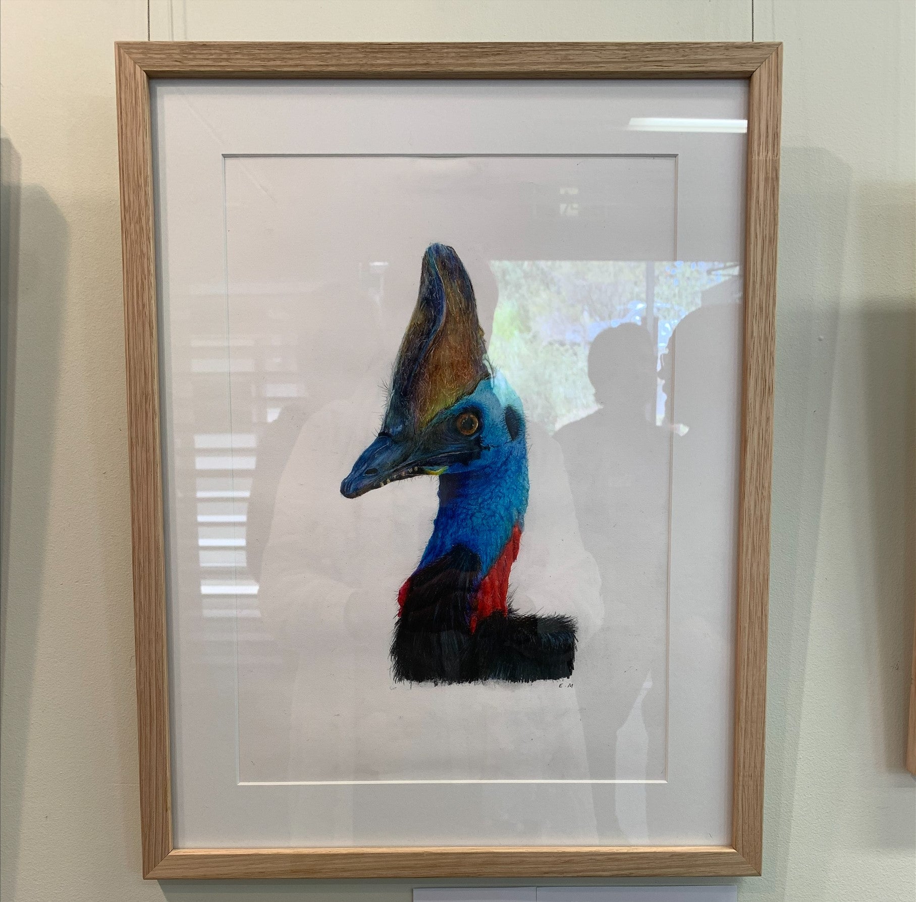 Under 18s Threatened Species winner “The Bold and Beautiful Southern Cassowary” by Erin M