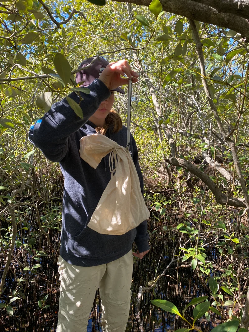 My work experience with the Environment Team