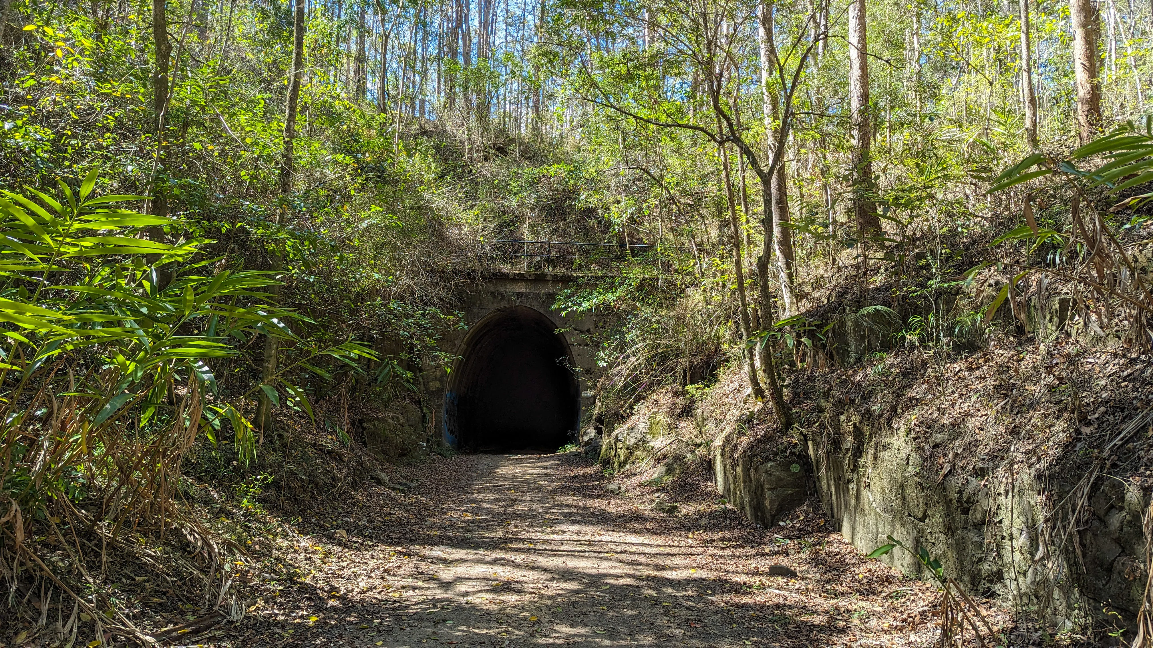 Dularcha National Park – Tunnel Track