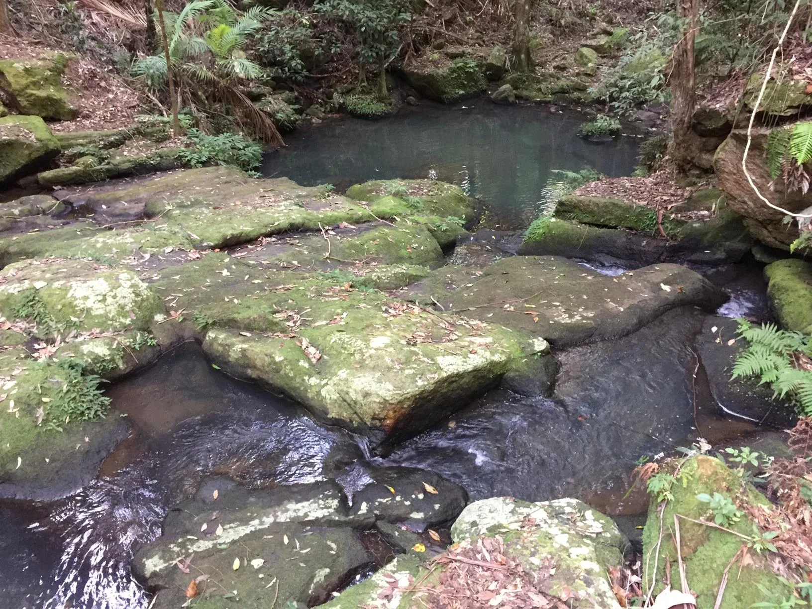 Kondalilla National Park Rock Pools Walk