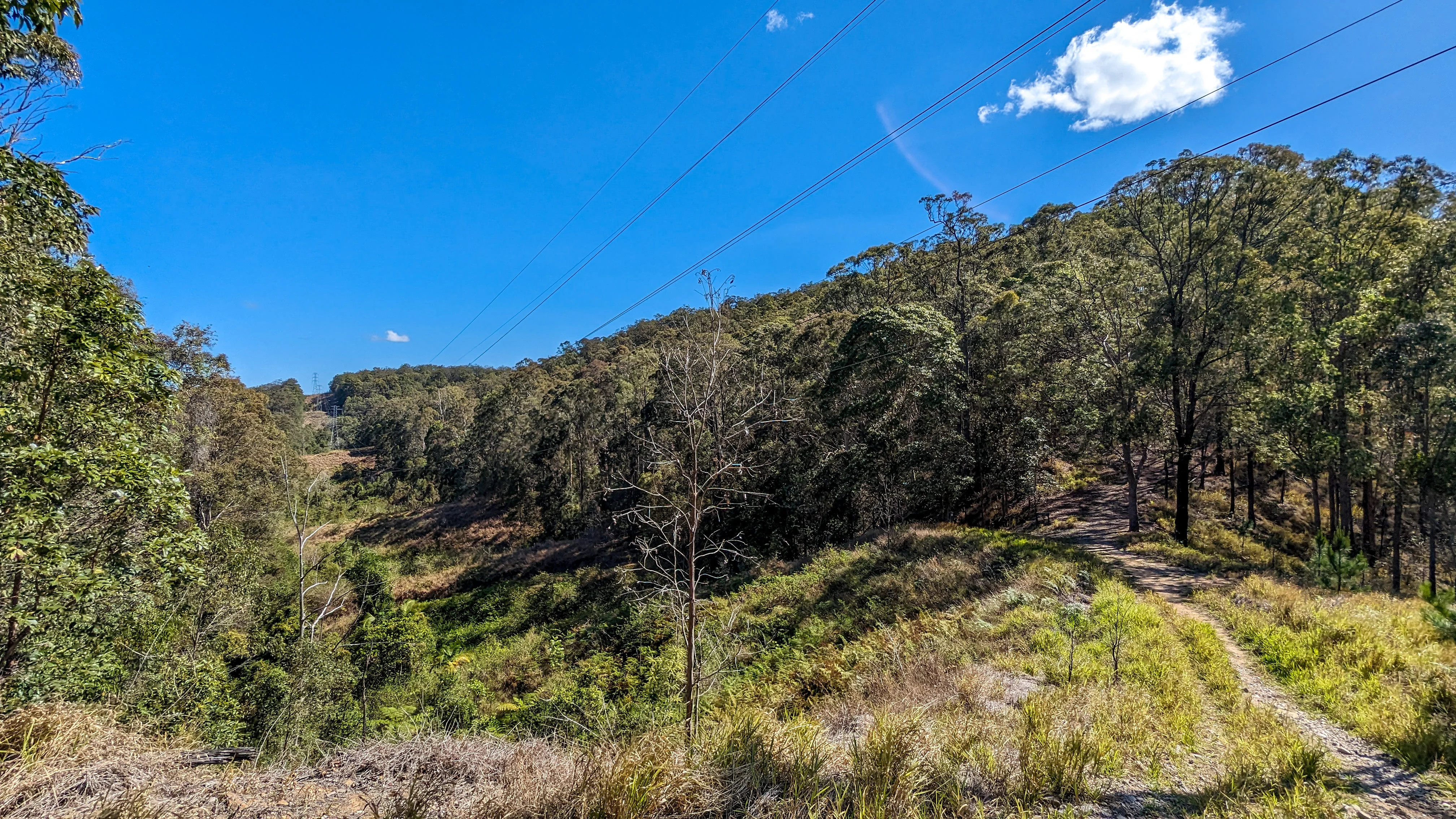 Dularcha National Park – Roses circuit
