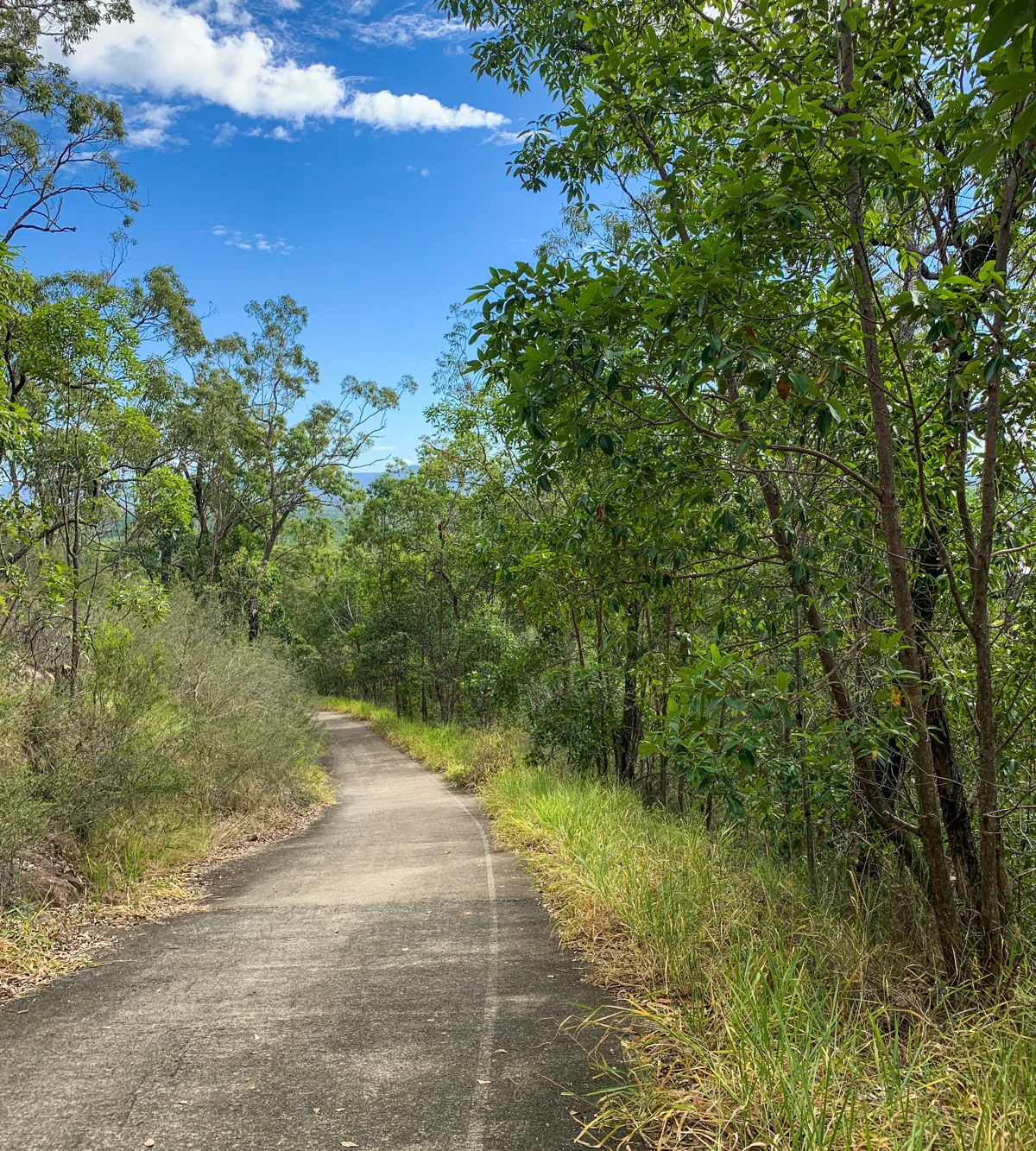 Wild Horse Mountain Lookout – 1.4km walk